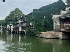 -乌镇西栅景区