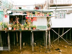 -大澳渔村及棚屋