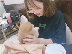 -逗柴咖啡屋·狗咖猫咖宠物桌游