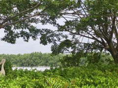 -大湾区中央湿地公园