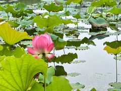 -苏州环秀晓筑养生度假村
