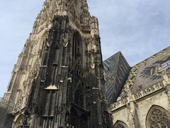 景点-斯蒂芬主教座堂(Stephansdom)