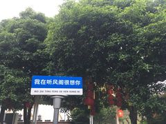 -听风阁农家私房菜茶楼(龙坞店)
