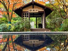 -中国茶叶博物馆(双峰馆区)