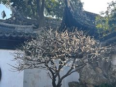 -豫园