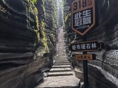 -梭布垭石林景区