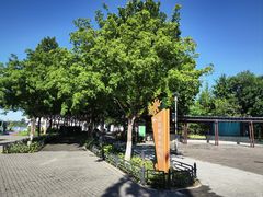 -大兴滨河森林公园