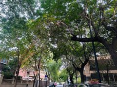 -天津五大道文化旅游区