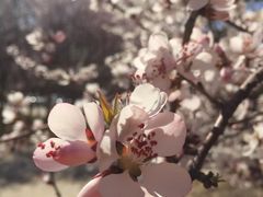 -首都师范大学科德学院