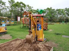 -杭州湾海上花田景区