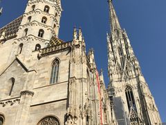 -斯蒂芬主教座堂(Stephansdom)