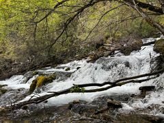 -叠溪松坪沟景区