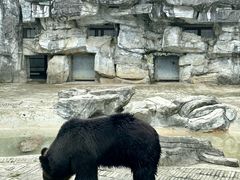 -黔灵山公园-南门售票处