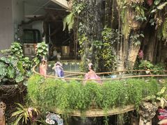 -正佳雨林生态植物园