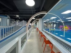 -蓝鲸奇亲子游泳俱乐部