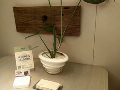-隐溪茶馆(静安寺店)