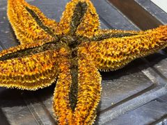 -众想海鲜·烧烤·海肠捞饭·渔家菜(孙家疃店)