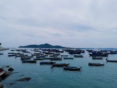 -海源公园