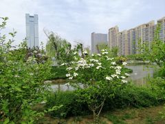 -木塔寺遗址生态公园