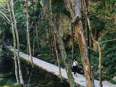 -龙峪湾国家森林公园