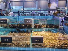 -渔纬港海鲜自助餐厅(湖里万达店)