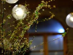 -Jo's Garden