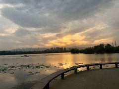 -永定河休闲森林公园