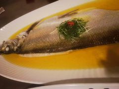 -巴音浩日娲·蒙餐(双林东路店)