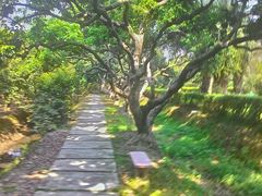 android_upload_pic-杨桃公园