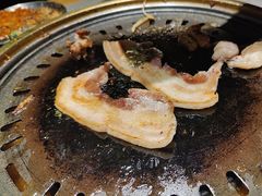 -杨小佳·齐齐哈尔烤肉·烤串(广州店)