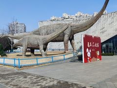 -安徽省地质博物馆