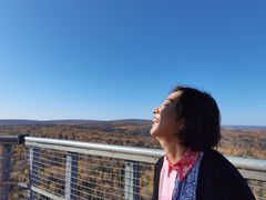 -汤旺河林海奇石景区