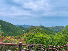 -大围山国家森林公园