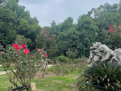 -东湖落雁景区