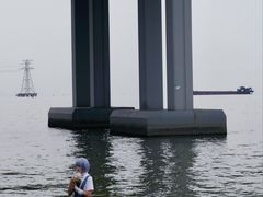 -宝安西湾红树林湿地公园