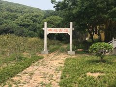 -龙寺生态园