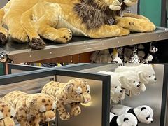 -珠海横琴国家地理探险家中心(创新方)