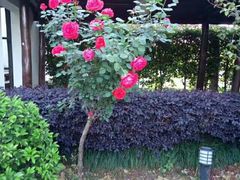 -敬亭山风景名胜区