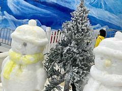 -世界之窗阿尔卑斯冰雪世界