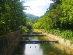 -广州白江湖森林公园