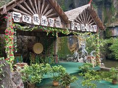 -西双版纳原始森林公园