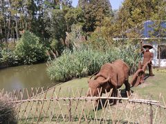 -上海长兴岛郊野公园