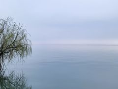 -东方绿舟景区