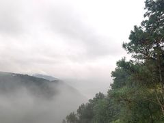 -铁山坪森林公园