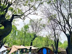 -Supine Bistro溯泮餐厅