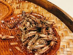 -御温泉·大餐庙会