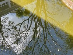 -云南滇池花园国际大酒店温泉