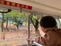 -西安秦岭野生动物园