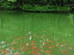 -南山风景名胜区