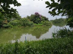 -海珠湖公园